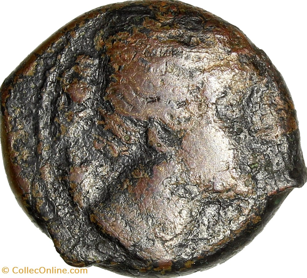 Hémilitron de Syracuse au nom d'Agathoklès monnaies antiques grecques hemilitron de syracuse au nom agathokles