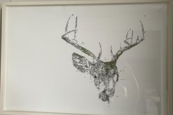 Trophy - Erin Smith