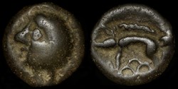 Potin à la tête chauve