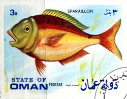 Sparaillon