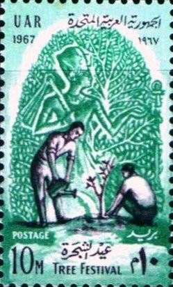 Tree Festival