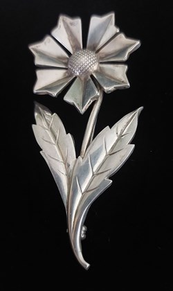 Silverbrosch, blomma