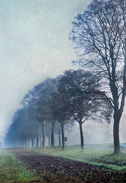 Photographie argentique d'un paysage de campagne, un matin d'hiver.