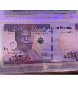 100 Naira Banknote