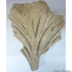 Fragment de chapiteau