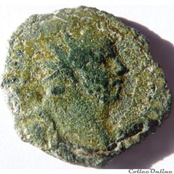 Carausius