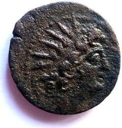 Royaume séleucide - Antiochos VIII 126-96