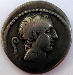 Gens Marcia -56/Denier/Ancus Marcius 4ème roi de Rome