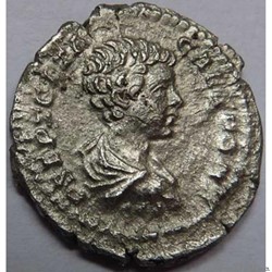Geta 202/Denier/Rome/RIC IV 20b