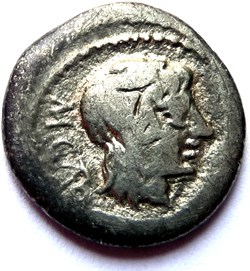 Gens Porcia -89/Quinaire/Bacchus