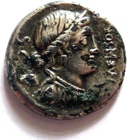 Gens Farsuleia -75/Denier fourré hybride/Libertas