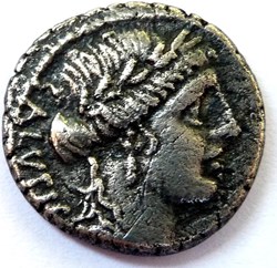 Gens Acilia -49/Denier/Salus