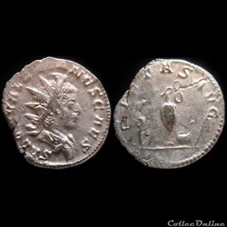 Salonin - PIETAS AVG