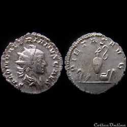 Salonin - PIETAS AVG