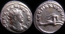 Gallien - LEG IIXX VI P VI F