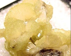 Adamite
