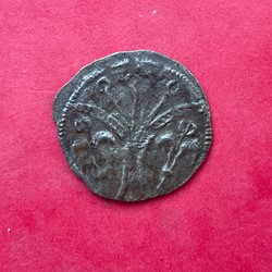 Seigneurie de Vierzon denier anonyme