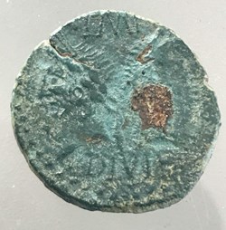 Dupondius - NÎMES - AUGUSTE et AGRIPPA - COL - NEM