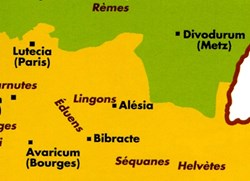 Lingons