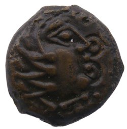 Bronze YLLYCCI à l’OISEAU classe