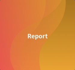 Report