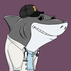 Snarky Shark #502