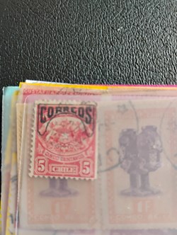 1000002138