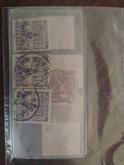 1000002118