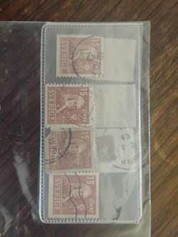 1000002119