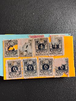 1000002129