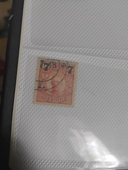 1000002105