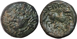 Suessions - Bronze DEIOYIKIIA