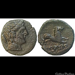 Longostalète au lion