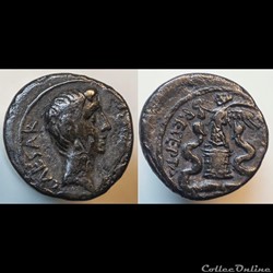 Octave - Quinaire Asia Recepta