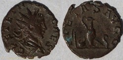 RIC.255 Tetricus II (antoninien, Pietas Avgg)