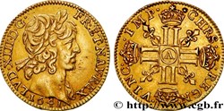 Demi-Louis d'or à la mèche courte, Louis XIII