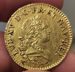 Louis d'or aux palmes longues, dit Mirliton