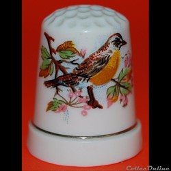 Oiseau_08