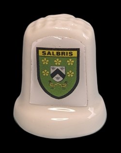 041_Loir et Cher_SALBRIS