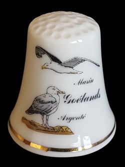 Oiseau_Goéland