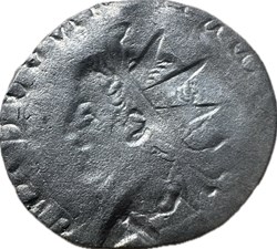 Saloninus, brockage