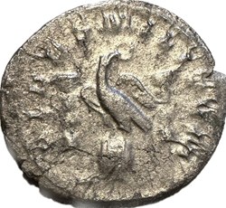 Gallienus, Göbl 871f (8 Ex.)