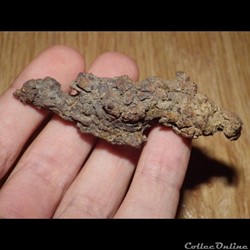 Coprolithe