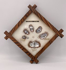 Pearl Display