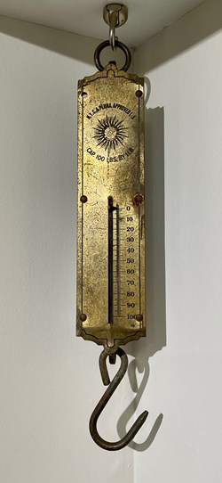 Scale