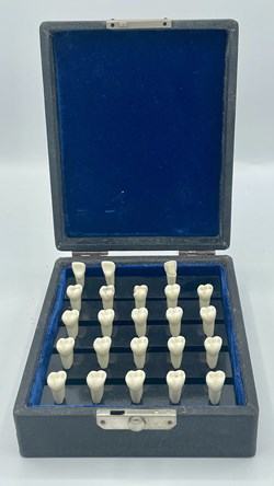 Tooth Dental Kit