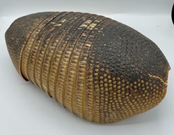 Armadillo Shell