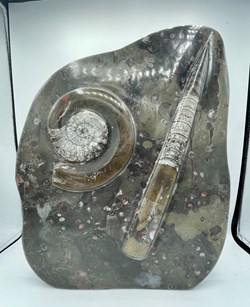 Fossil