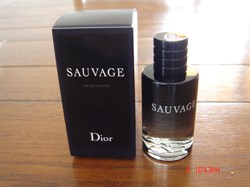 DIOR: Miniature