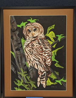 Barrel Owl